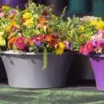 8 ting du skal overveje når du skal vælge urtepotter til dine planter