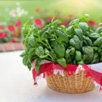 Kan jeg bruge en potteskjuler til at dyrke urter eller grøntsager?